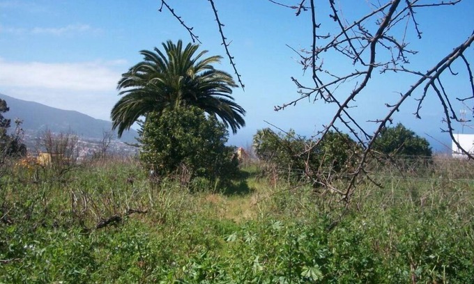 Montijos House | Cottage with private swimming pool from August 5 to August 15