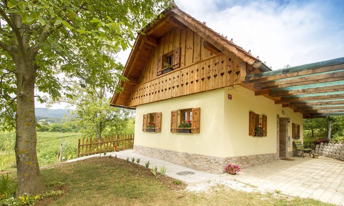 Bizeljsko House | Country House Srček with Two Bedrooms and Vineyard View