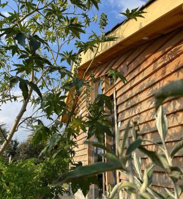 Naivasha Apartment | Couple's Wood Cabin in Naivasha - Elwai Visitor Centre