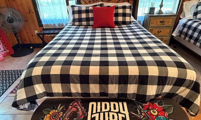 Selma Apartment | Cowgirl Cabin 2 Queens AC W/D Wi-Fi