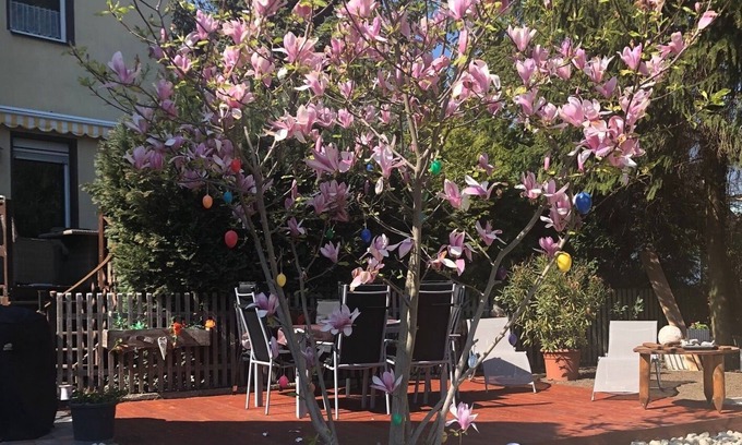 Langendorf Apartment | cozy 150 sqm apartment, quiet location in the countryside