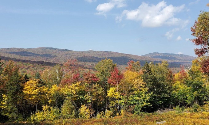Ludlow Cabin | Cozy 4BR cabin w/fireplace & slope views