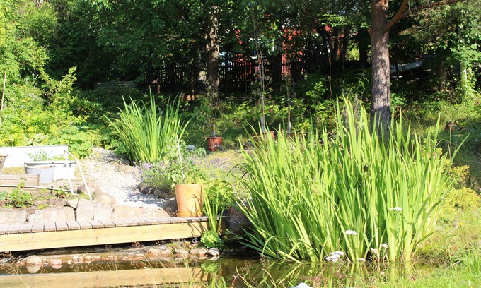 Insjon House | Cozy and spacious traditional Swedish Dala cottage