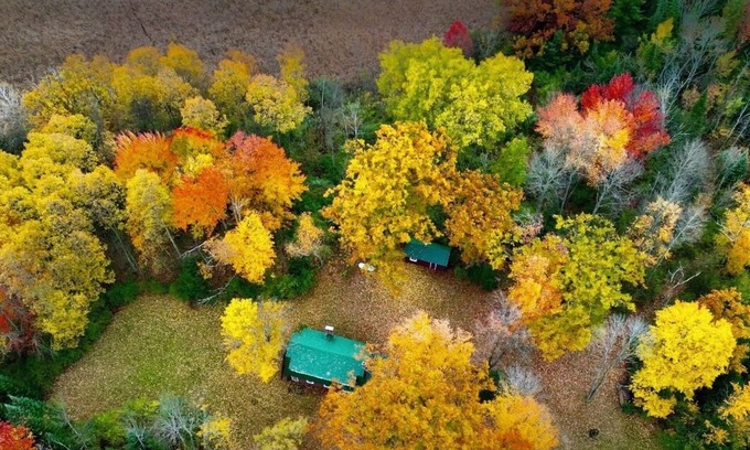 Hale Other | Cozy Beautiful log cabin situated on acreage with access to East Stylus Lake