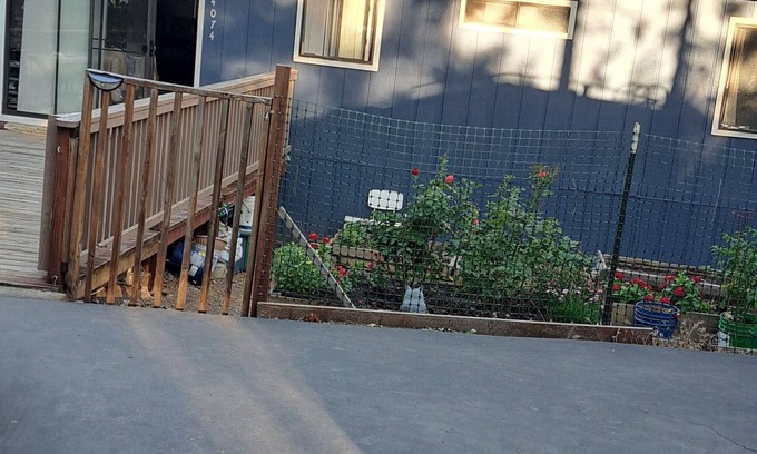 Phoenix Lake-Cedar Ridge Cottage | Cozy cottage for vacation in Cedar Ridge near its famous trail.