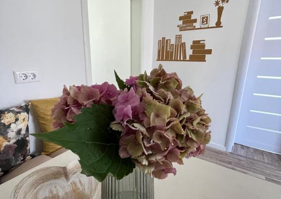 Vladeni Villa | Cozy House Neustadt