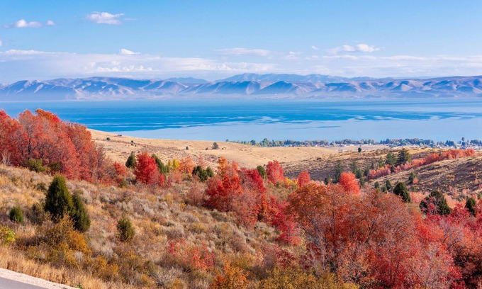 St. Charles Cabin | Cozy log studio with large front deck & kitchenette