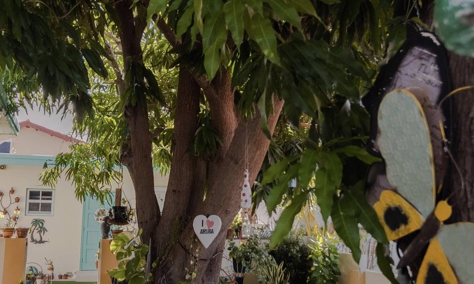 Malmok Apartment | Cozy studio in the heart of Malmok Aruba