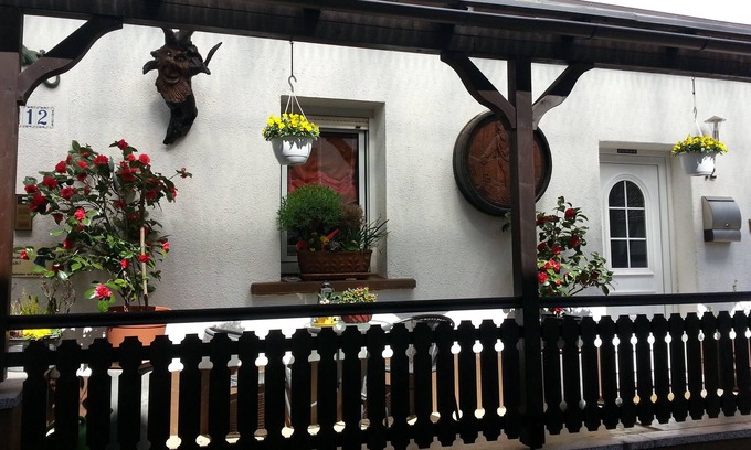 Wilgartswiesen Condo | Cozy vacation apartment, quiet location - cash payment possible on site