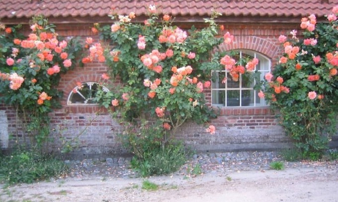 Barkelsby Apartment | Cozy wheelwright's house on the Hohenstein estate