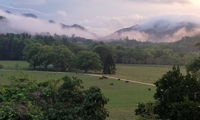 Crystal Creek Cottage | Crystal Creek Cottage- Farm stay