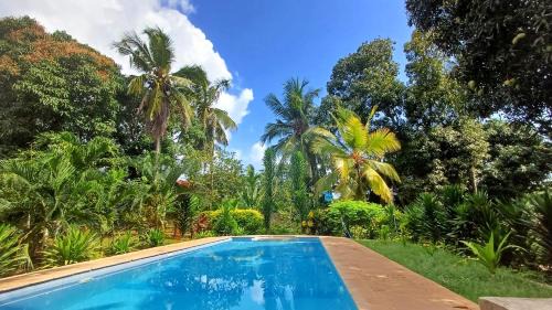Ukunda House | Cycad Palm Diani