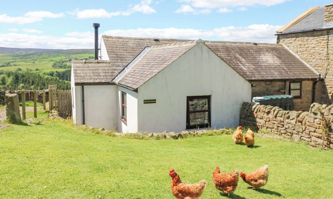 Allendale Cottage | DALE VIEW COTTAGE, pet friendly, with open fire in Allendale