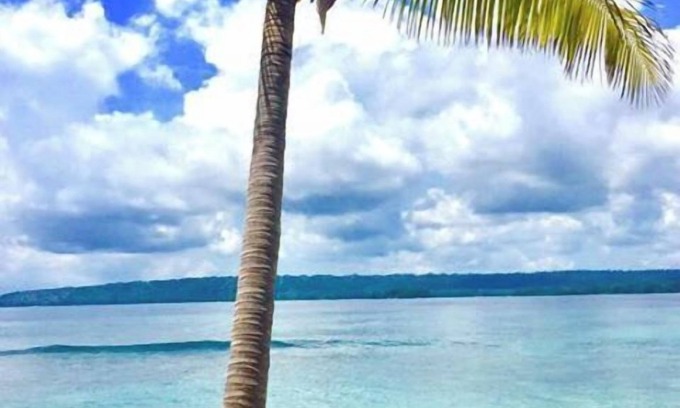 Turtle Bay Resort | Dany Island