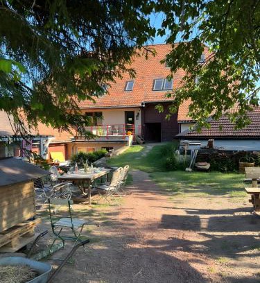 Eisenbach Apartment | Das Falken Nest