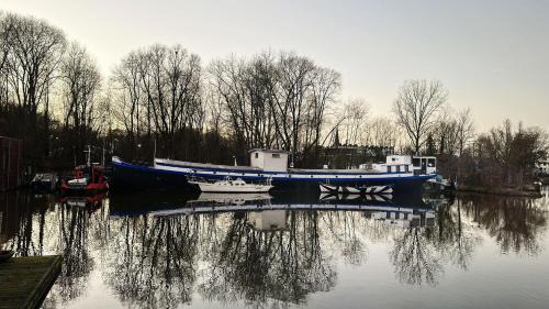 IJplein en Vogelbuurt House | De Cornelia