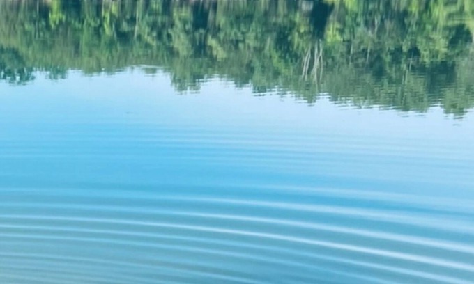 Dandridge House | DearBear Landing in the Smokies - Lakefront - Fish-Kayak - near Dollywood !