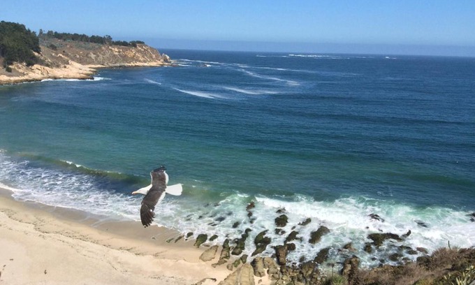 Caleta Horcon Apartment | Departamento 43D Condominio Cau Cau