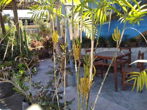 Ica Apartment | Departamento 4p Tierra del Sol Eterno Ica centro