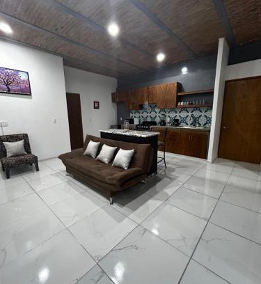 Chapala Centro Apartment | Departamentos colibri y tortuga