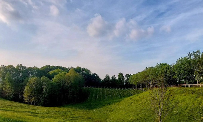 Venegazzu House | Dépendance at l'Eremo in the Prosecco hills