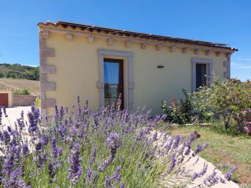 Arzachena Apartment | Dependance Pavoncella