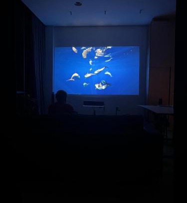 Pakapiai Apartment | Design apartment with view to Nemunas, Prienai