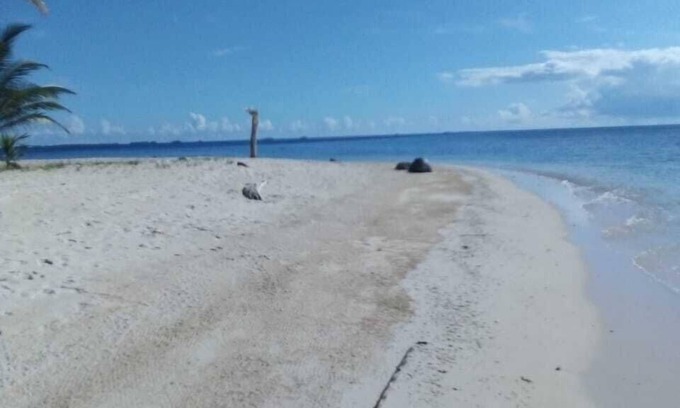 Carti Tupile Cabin | Discovery Gunayar