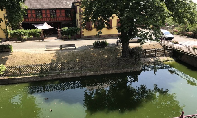 Saint-Hippolyte Bed & Breakfast | Domaine Sylvie Fahrer & Fils