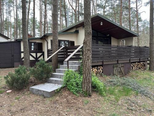 Ocypel House | Domek letniskowy "Wiewiórka"