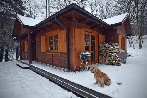 Kazimierz Dolny Villa | Domek na Stoku