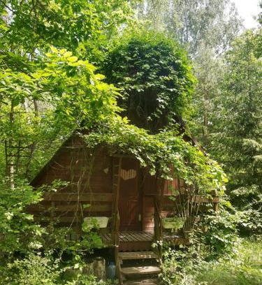 gmina Pniewy House | Domek w lesie
