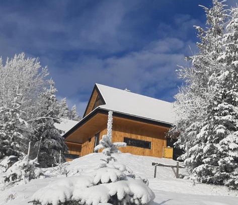 Krzyzowka Ski Chalet | Domki Krynica