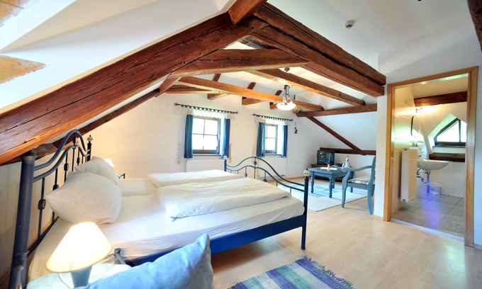 Rosenbach/Vogtl. House | Doppelzimmer - Hellblaues Zimmer - Gasthof Teichmühle