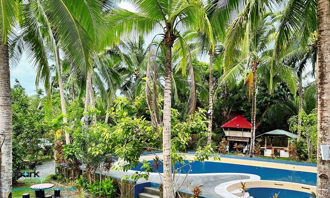 Baler Cabin | DOUBLE BUDGET ROOM WITH SHARED TOILET