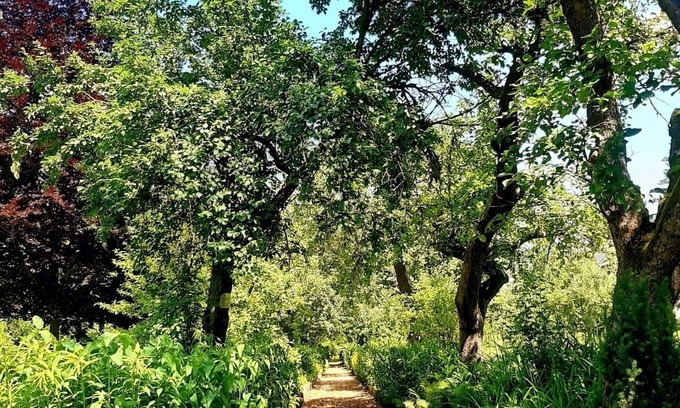 Bad Freienwalde Apartment | Double room for 2 guests with 18m² in Bad Freienwalde (Oder) (272847)