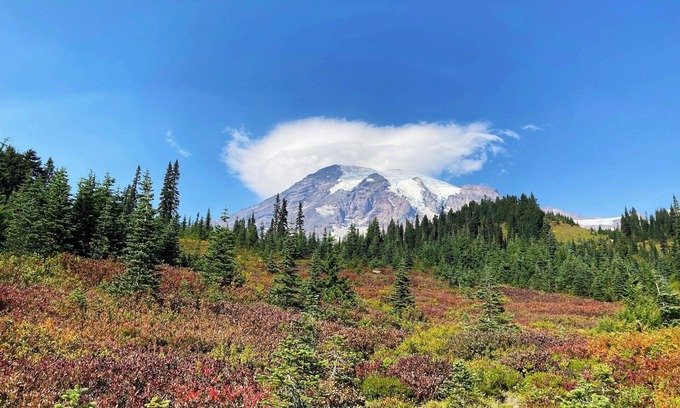 Eagan House | Easy access to malls, the airport, and family fun