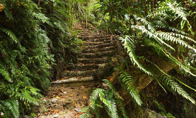 Rentapow House | Eden on the River