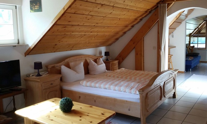 Bad Peterstal-Griesbach Apartment | Ehrenmättlehof: Ferienwohnung E10, 45qm, Wohn-/Schlafbereich, max. 3 Personen