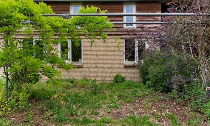 Horssen House | Elegant Holiday Home with Horssen with Terrace