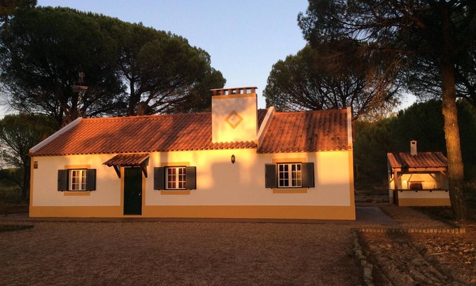 Grandola Other | Enjoy the beauty of the Alentejo. House set in pine forest and near the beautiful beaches