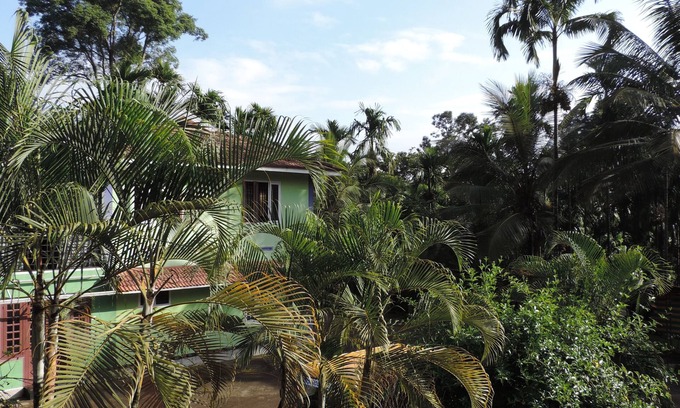 Kolagappara House | Enjoy The Real "wayanad Village Home Stay" Experience