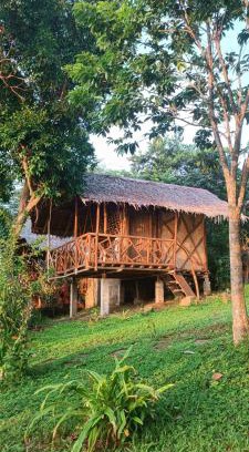 El Nido Cabin | Erlittop Nature Lodge