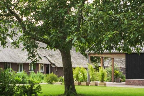 Erm House | Ermerhoek, in de Hof