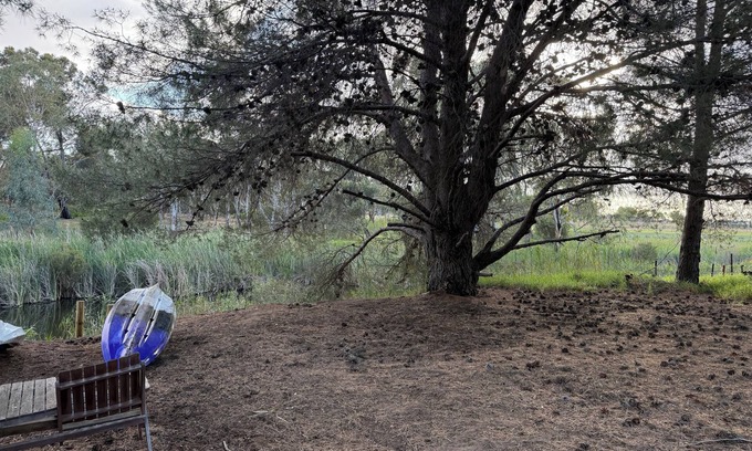 Woodchester Apartment | Escape to Tranquility: Homestay with a creek Awaits in the Adelaide Hills