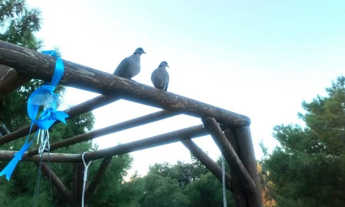 Vouliagmeni House | EXLUSIVE SUITE-BEDROOM W