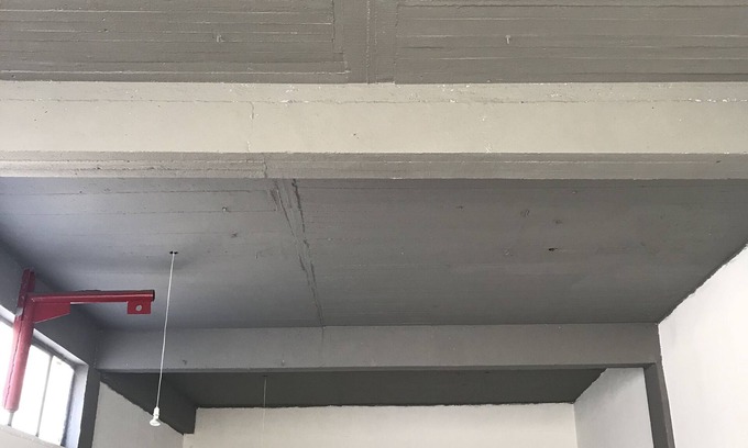 Ilion Apartment | Factory style residence