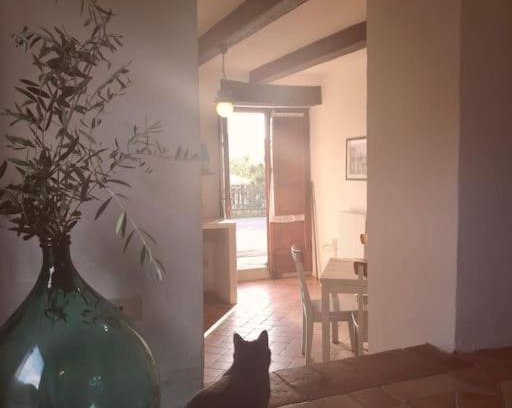 Pieve di Chio Apartment | Fantastic Apartment in the Heart of Toscana