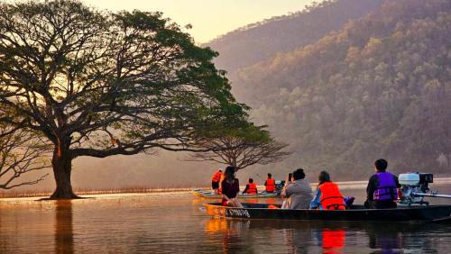 Phrao Cabin | Farm Santisuk Onsen