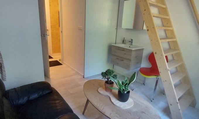 IJzendijke Other | Farmhouse with 3 fabulous studio's in Ijzendijke -´Vergroening´